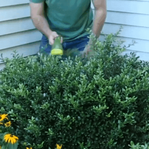 HedgeGenie™️- 2 In 1 Cordless Electric Hedge Garden Trimmer - luvinly