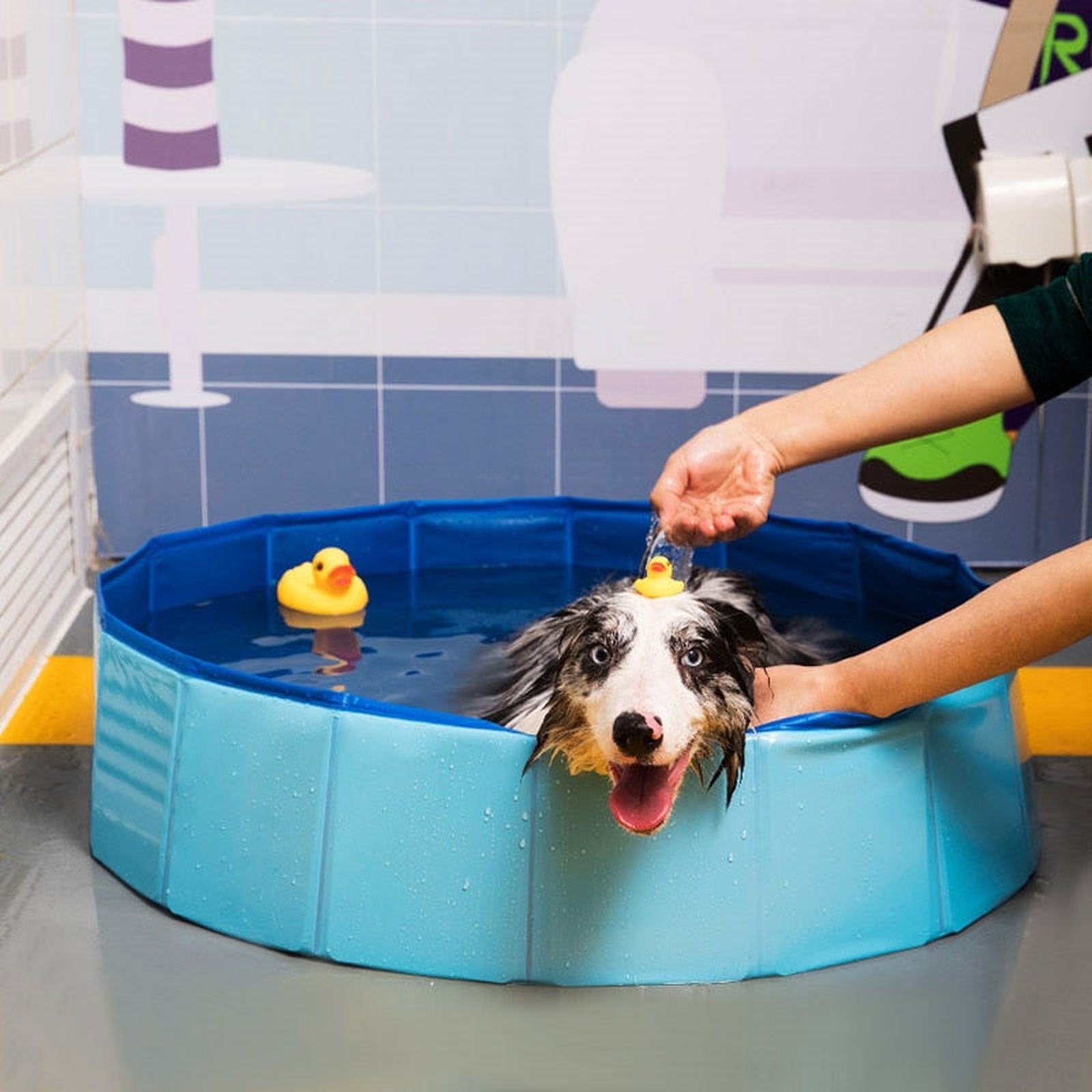 PORTABLE DOG POOL - luvinly