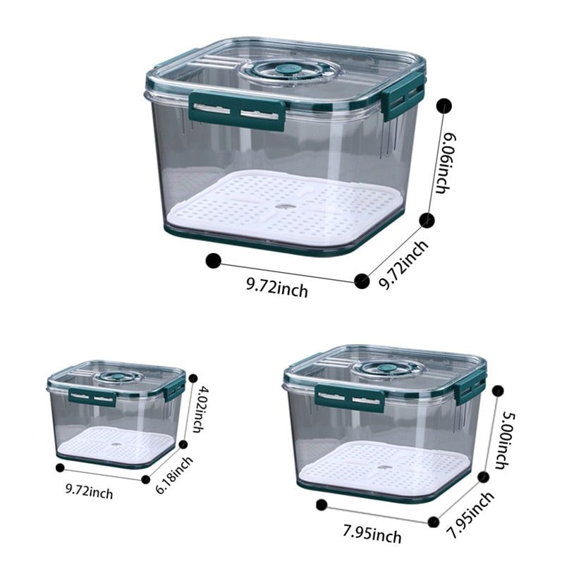 Seal Timer Food Container-3PCS - luvinly