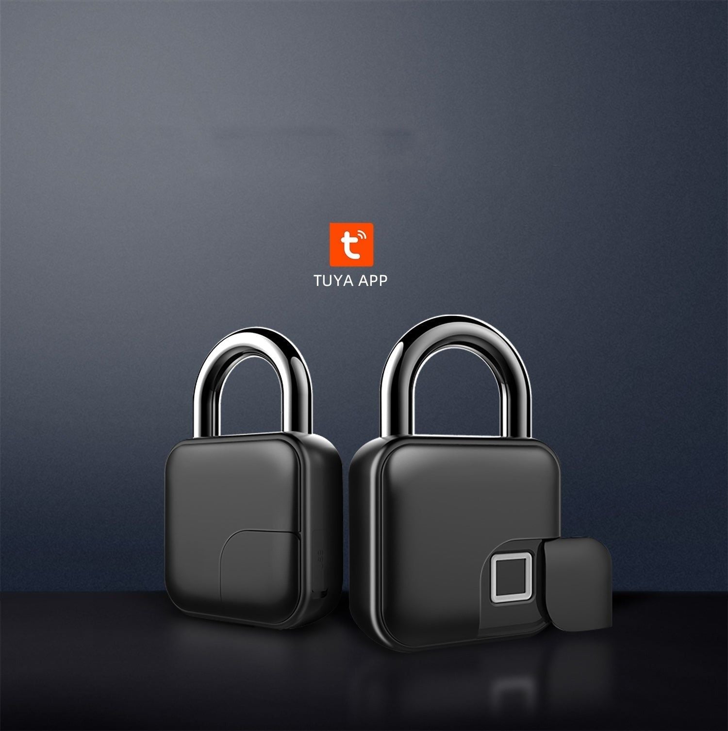 Smart Padlock Fingerprint Cabinet Lock Cabinet - luvinly