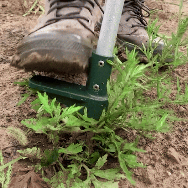 The RootEase™️ Weed Extractor - luvinly